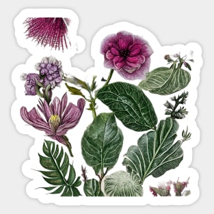 The Art of Nature Sticker